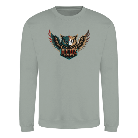 REDZ ESPORTS - Main - Basic Sweatshirt