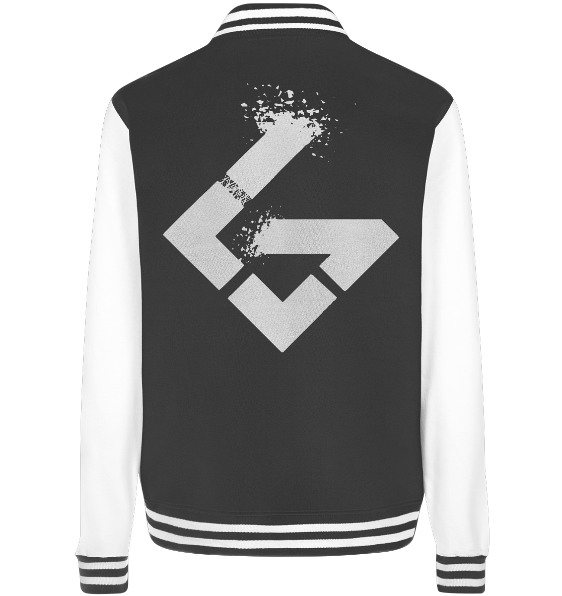 LAVITY GAMING - Basic College Jacke