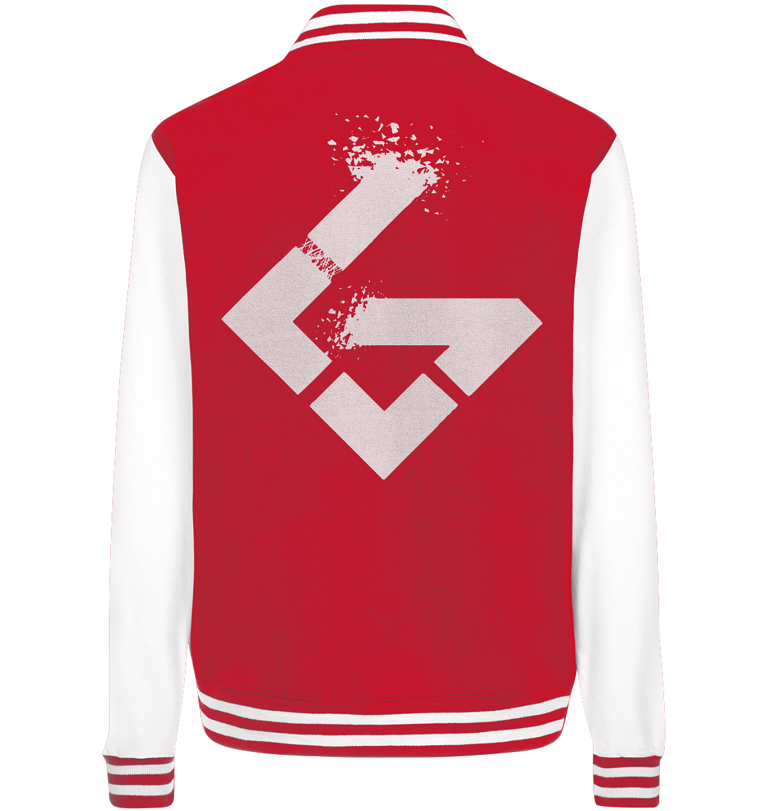 LAVITY GAMING - Basic College Jacke