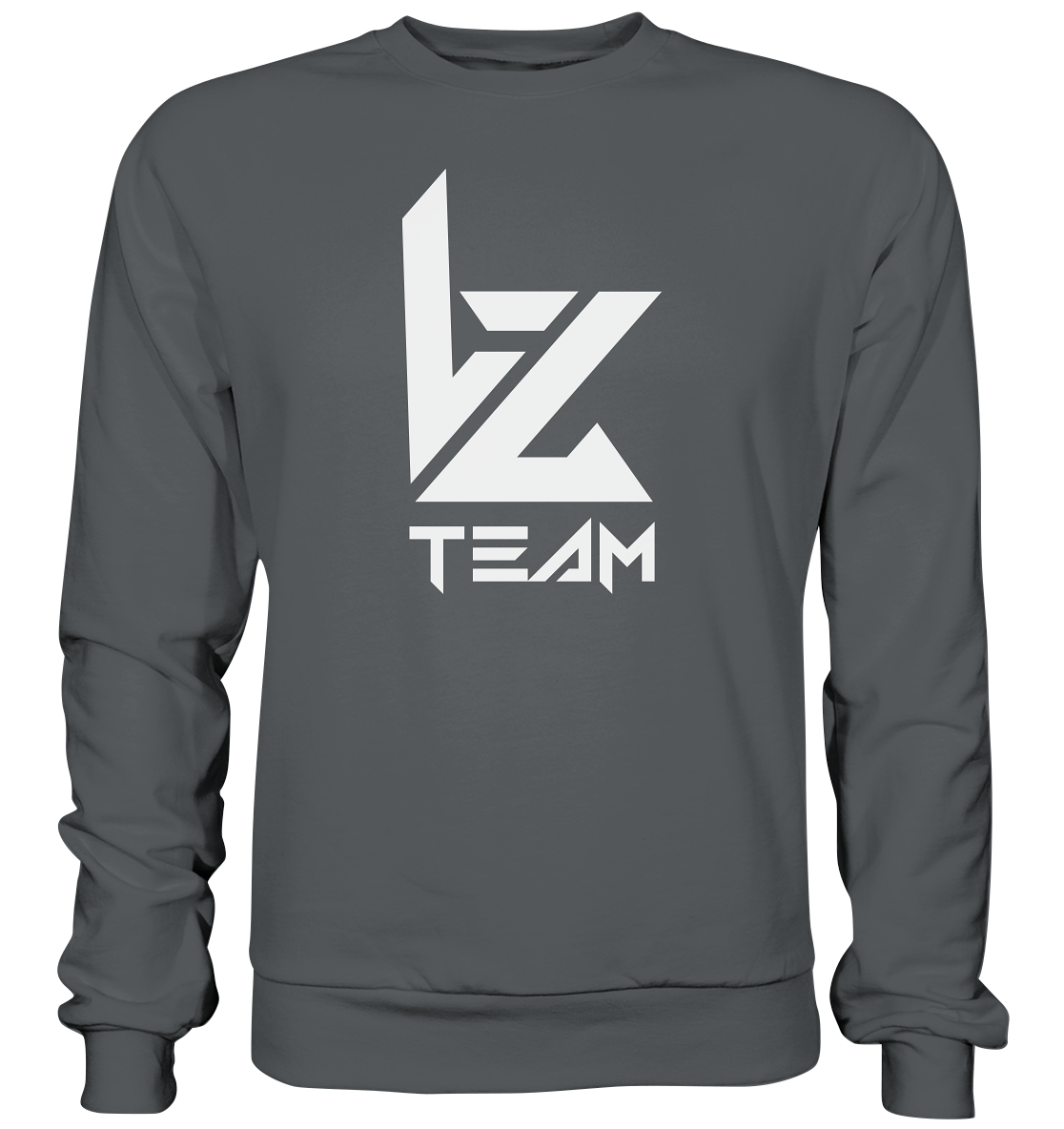 TEAM VZ - Basic Sweatshirt