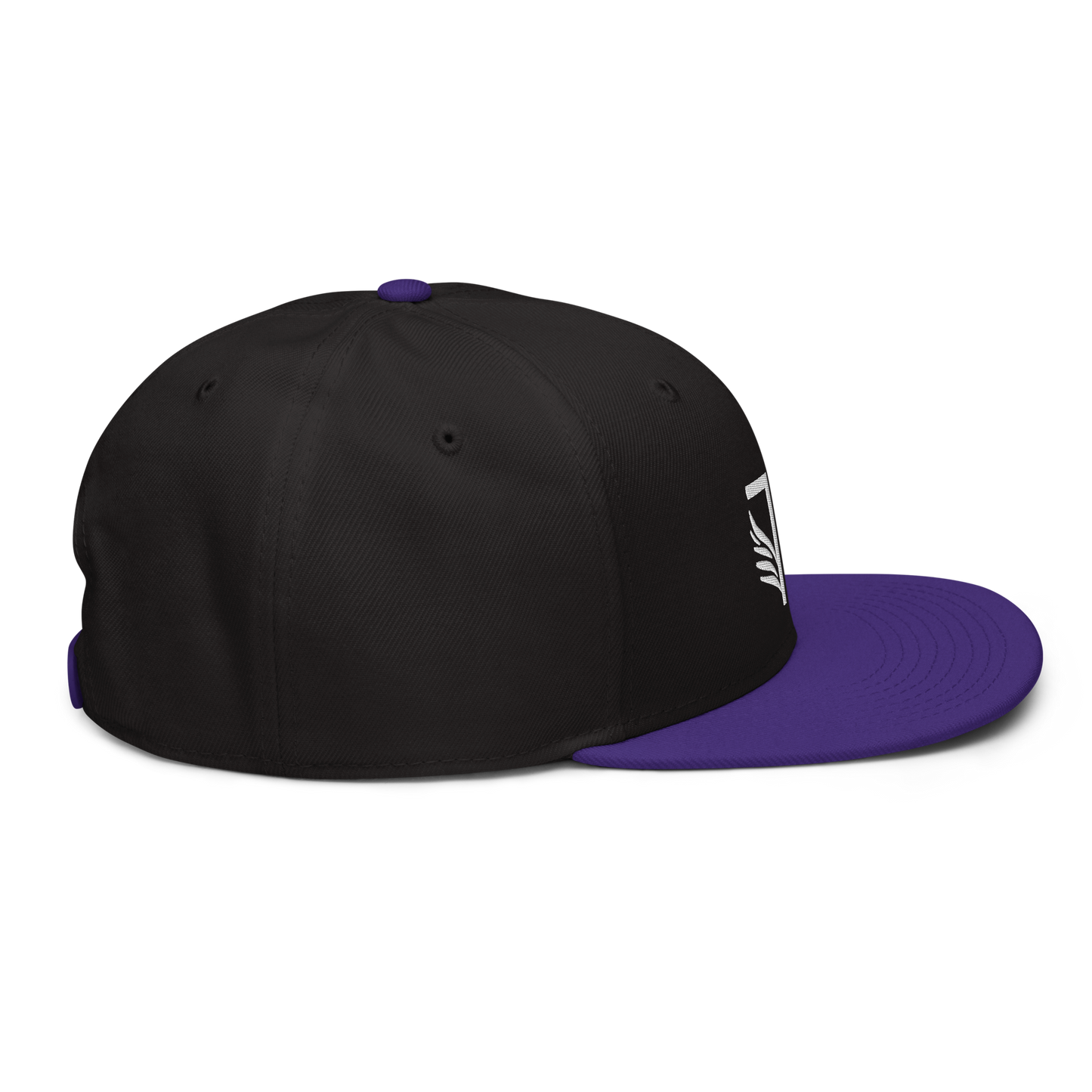 TEAM F4K3 ESPORTS - Snapback Cap