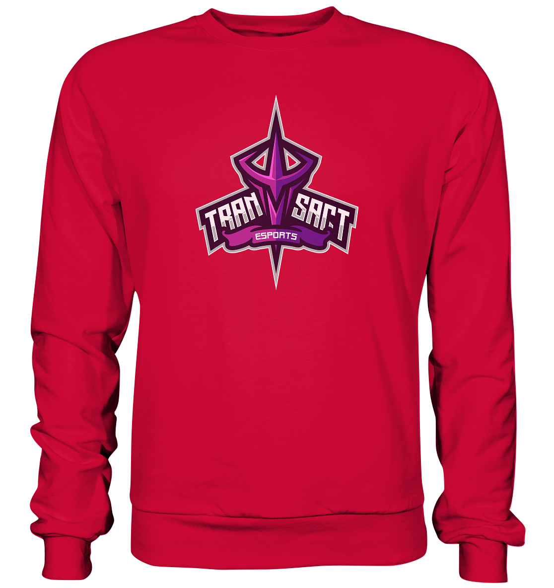 TRANSACT ESPORTS - Basic Sweatshirt