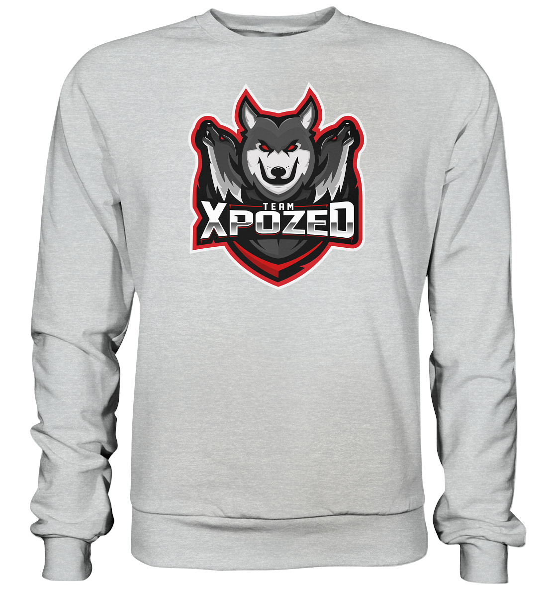 TEAM XPOZED - Basic Sweatshirt